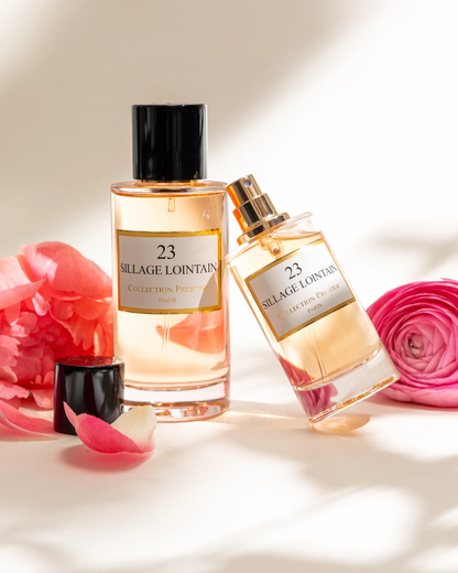 N°23 Sillage Lointain